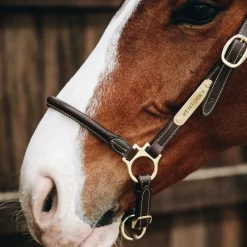 Élevage|Grooming*Kentucky Horsewear - Licol de pansage Marron