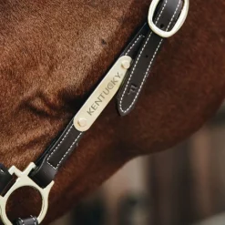 Élevage|Grooming*Kentucky Horsewear - Licol de pansage Marron