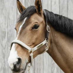 Licols En Nylon*Kentucky Horsewear - Licol anatomique nylon Beige