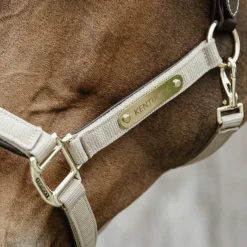 Licols En Nylon*Kentucky Horsewear - Licol anatomique nylon Beige