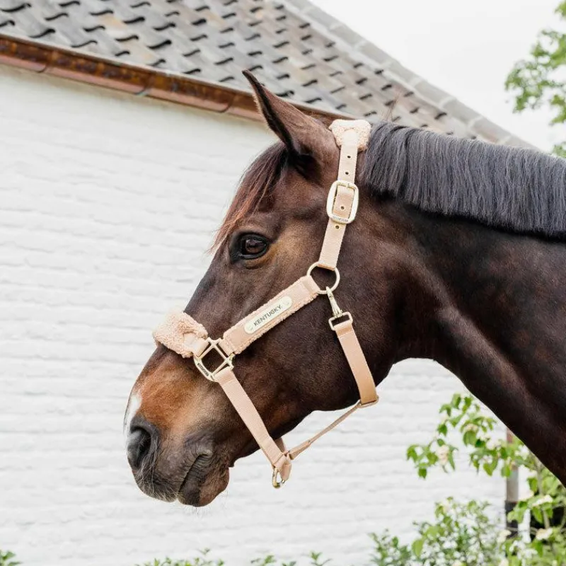 Collection "Minis" Kentucky|Licols Poneys*Kentucky Horsewear - Licol polaire Teddy Beige