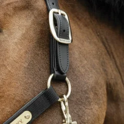 - Licol anatomique nylon Licols En Nylon