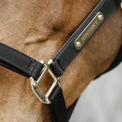 - Licol anatomique nylon Licols En Nylon