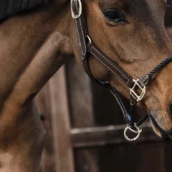 Discount - Licol muserolle corde Élevage|Licols En Cuir