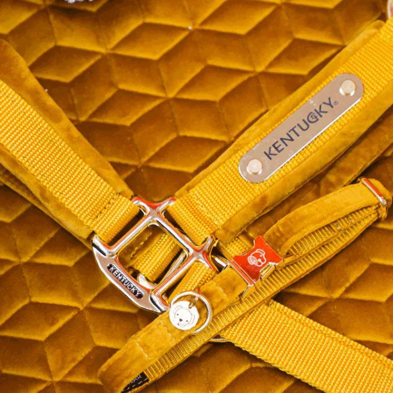 Licols En Nylon*Kentucky Horsewear - Licol Velvet moutarde