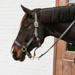 Licols En Nylon*Kentucky Horsewear - Licol cheval nylon tressé Gris