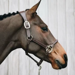 Hot - Licol cheval anatomique Élevage|Licols En Cuir