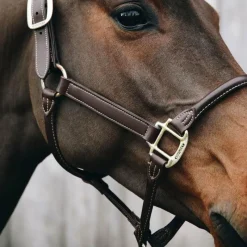 Hot - Licol cheval anatomique Élevage|Licols En Cuir