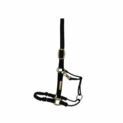 Licols En Nylon*Kentucky Horsewear - Licol cheval Control Noir