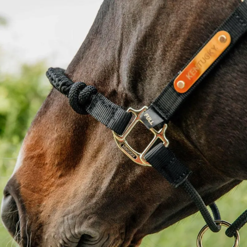 Licols En Nylon*Kentucky Horsewear - Licol cheval Control Noir