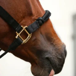 Licols En Nylon*Kentucky Horsewear - Licol cheval Control Noir