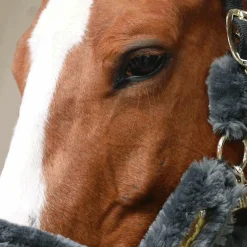 Best - Licol de transport mouton gris Collection 