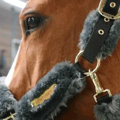 Best - Licol de transport mouton gris Collection 