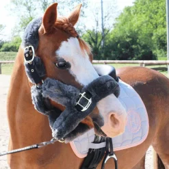 Best - Licol de transport mouton gris Collection 