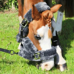 Best - Licol de transport mouton gris Collection 