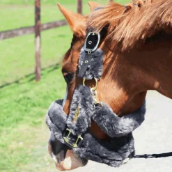 Best - Licol de transport mouton gris Collection 