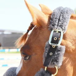 Best - Licol de transport mouton gris Collection 