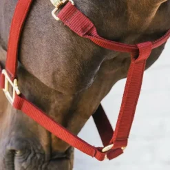 Sale - Licol nylon Breakaway Collection 