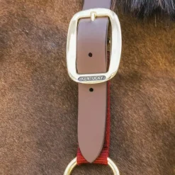 Sale - Licol nylon Breakaway Collection 