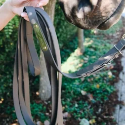 Élevage|Longes De Présentation*Kentucky Horsewear - Longe de présentation étalon Marron