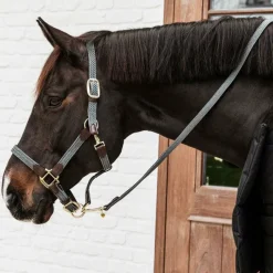 New - Longe nylon tressé 2 m Longes Classiques