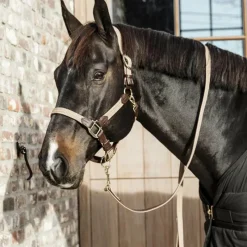 Longes Classiques*Kentucky Horsewear - Longe de nylon tressé Beige