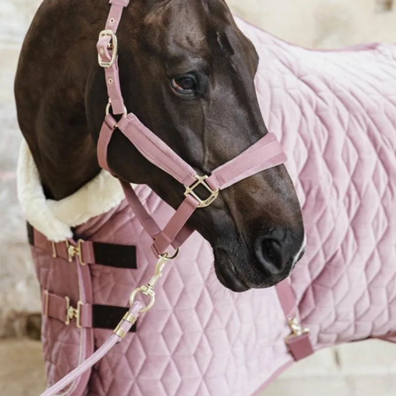 Longes Classiques*Kentucky Horsewear - Longe nylon 2m Velvet vieux Rose