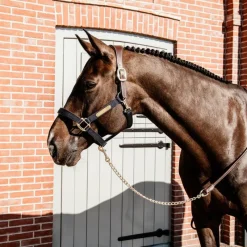 Longes De Présentation|Longes Classiques*Kentucky Horsewear - Longe de présentation Marron