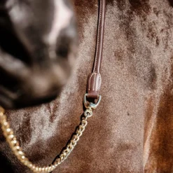 Longes De Présentation|Longes Classiques*Kentucky Horsewear - Longe de présentation Marron