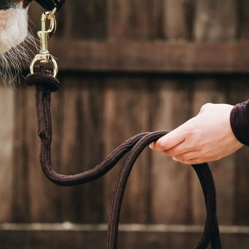 Discount - Longe avec mousqueton chocolat Longes Classiques