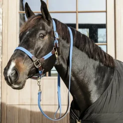 - Longe de nylon tressé clair Longes Classiques