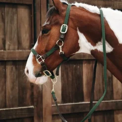 Hot - Longe nylon tressé olive 2 m Laisses