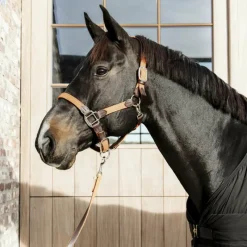 Best - Longe de nylon tressé Longes Classiques