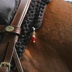 Accessoires De Bridon*Kentucky Horsewear - Lucky Charms rouge/marron clair