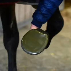 Hot - Protection sabot (x5) Sabots De Soin|Sabots De Soin