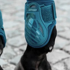 Protège-Boulets*Kentucky Horsewear - Protège-boulets jeunes chevaux emeraude Bleu