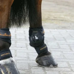 Endurance|Protège-Paturons*Kentucky Horsewear - Protège-paturons Noir