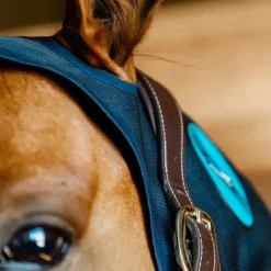 Outlet - Protège-nuque magnétique Recuptex Accessoires De Bridon