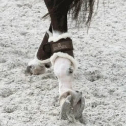 Sale - Protège-boulets turnout cuir Protège-Boulets