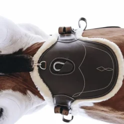 Concours Complet D'Equitation|Bavettes Courtes*Kentucky Horsewear - Sangle bavette courte mouton Marron
