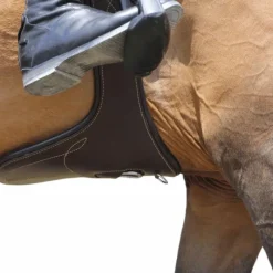 - Sangle bavette Concours Complet D'Equitation|Bavettes