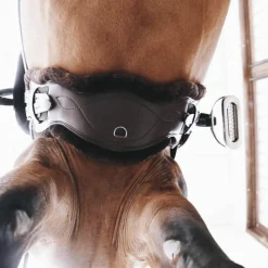 Sangles Courtes*Kentucky Horsewear - Sangle anatomique courte Marron