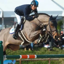 Concours Complet D'Equitation|Bavettes*Kentucky Horsewear - Sangle bavette mouton Marron