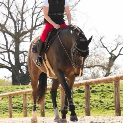 Concours Complet D'Equitation|Bavettes*Kentucky Horsewear - Sangle bavette mouton Marron