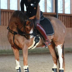 Discount - Sangle courte mouton Sangles Courtes