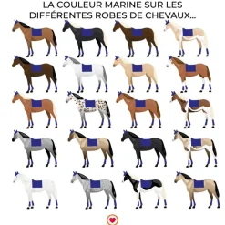 Tapis De Dressage|Tapis De Selle*Kentucky Horsewear - Tapis de dressage Glitter Rope Marine