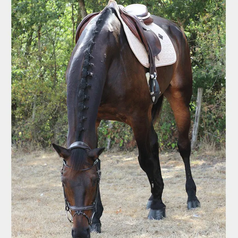 Tapis Cso/ Mixtes|Tapis De Selle*Kentucky Horsewear - Tapis de selle Laine beige