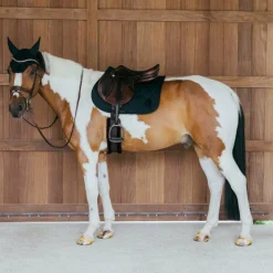 Tapis Cso/ Mixtes|Tapis De Selle*Kentucky Horsewear - Tapis de selle Wave jumping 3D logo Noir