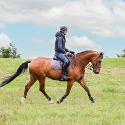 Sale - Tapis de selle Laine gris Tapis Cso/ Mixtes|Tapis De Selle