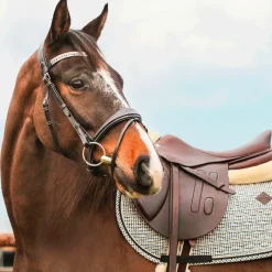 Online - Tapis de selle Pied de Poule brun Tapis De Selle|Tapis Cso/ Mixtes